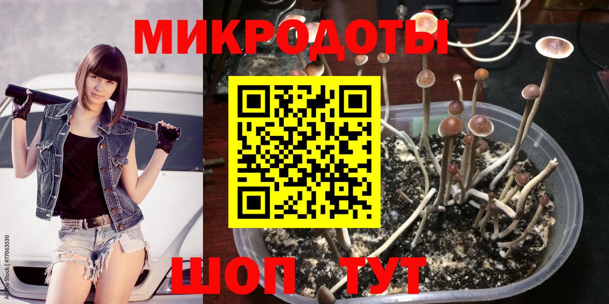 Галлюциногенные грибы MAGIC MUSHROOMS Муравленко